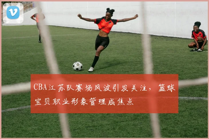 CBA江苏队赛场风波引发关注,篮球宝贝职业形象管理成焦点