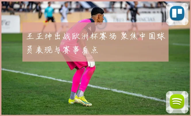 王正坤出战欧洲杯赛场 聚焦中国球员表现与赛事看点