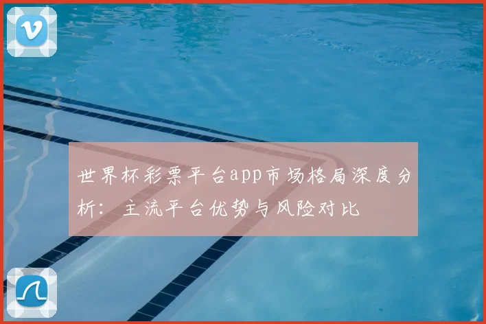 世界杯彩票平台app市场格局深度分析:主流平台优势与风险对比