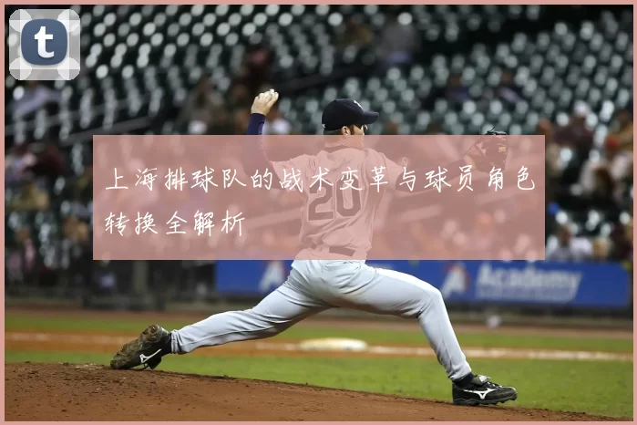 上海排球队的战术变革与球员角色转换全解析