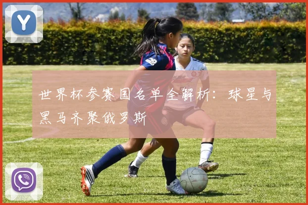 世界杯参赛国名单全解析：球星与黑马齐聚俄罗斯