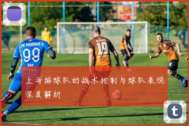 上海排球队的战术控制与球队表现深度解析