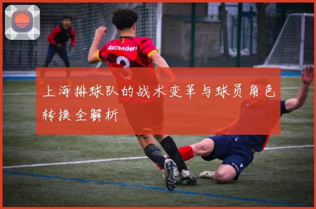 上海排球队的战术变革与球员角色转换全解析