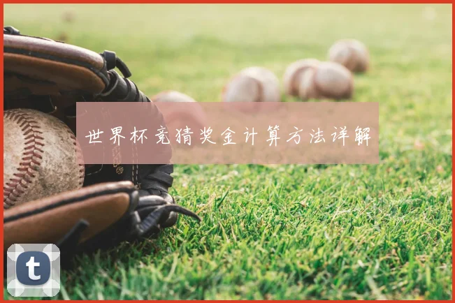 世界杯竞猜奖金计算方法详解