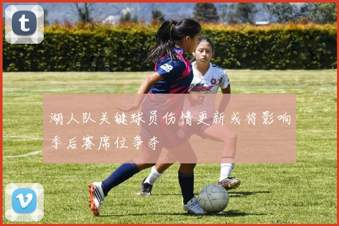湖人队关键球员伤情更新或将影响季后赛席位争夺