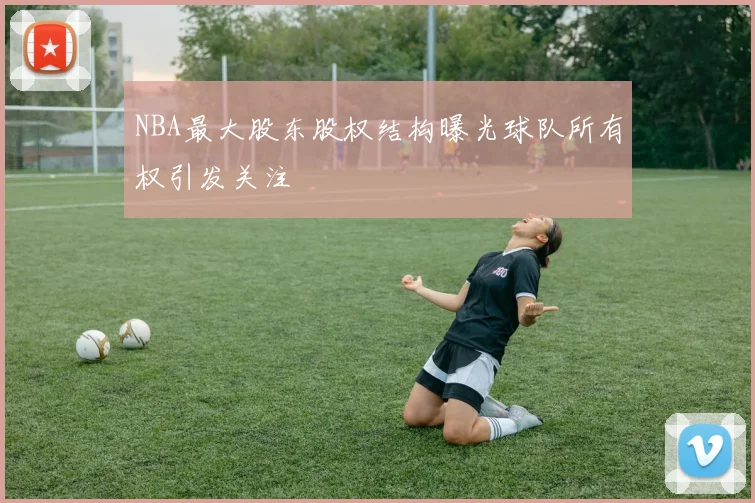 NBA最大股东股权结构曝光球队所有权引发关注