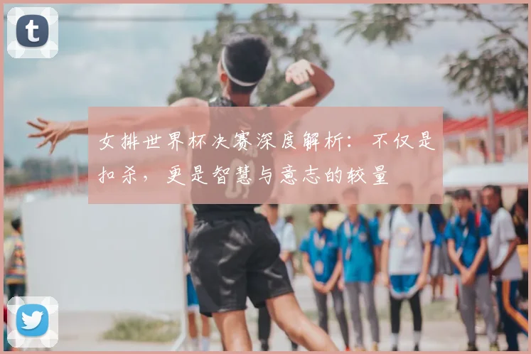 女排世界杯决赛深度解析:不仅是扣杀,更是智慧与意志的较量
