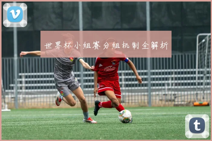 世界杯小组赛分组机制全解析