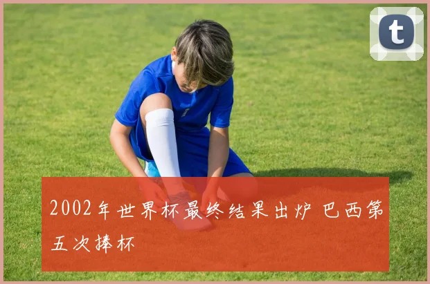 2002年世界杯最终结果出炉 巴西第五次捧杯